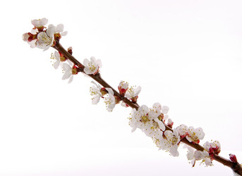 Similar image 2268026