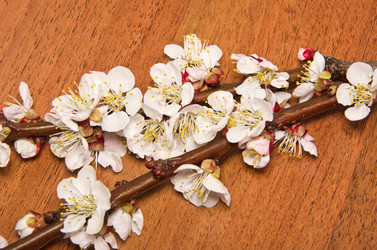 Similar image 2268030