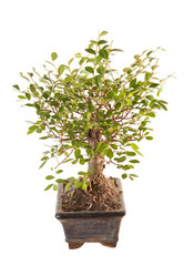 Similar image 2268234