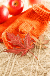 Similar image 2268296