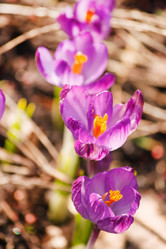 Similar image 2268302