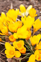 Similar image 2268322