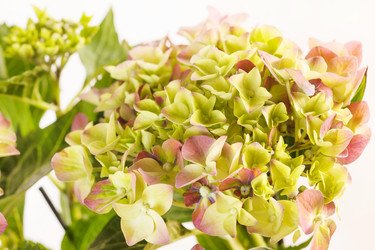 Similar image 2268357