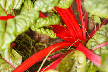 Similar image 2268505