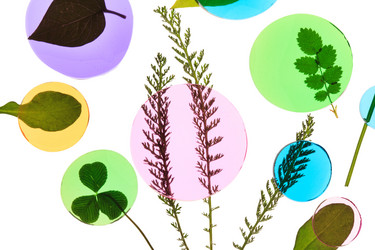 Similar image 2268508