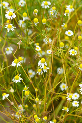 Similar image 2268546