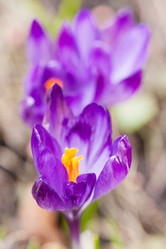 Similar image 2268564