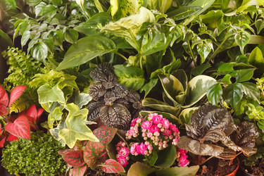 Similar image 2268653