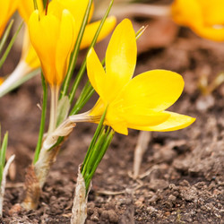 Similar image 2268735