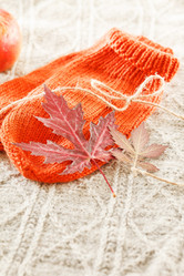 Similar image 2268837