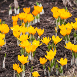 Similar image 2269225