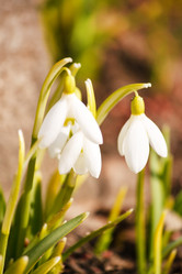 Similar image 2269227