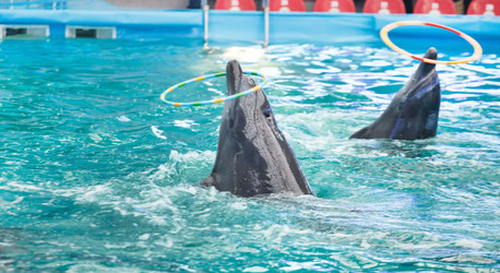 Similar image 2269402