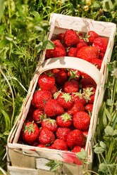 Similar image 2269509