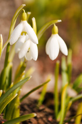 Similar image 2269514