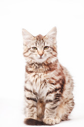 Similar image 2269521