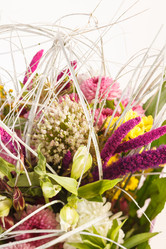 Similar image 2269523