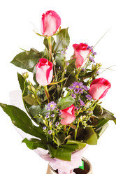 Similar image 2269530