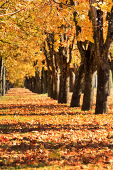 Similar image 2269533