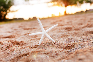 Similar image 2269538