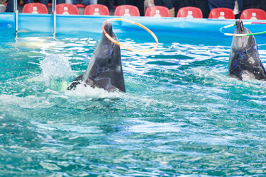 Similar image 2269637