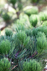 Similar image 2269643