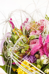 Similar image 2269699