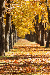 Similar image 2269777