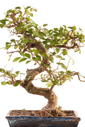 Similar image 2269782