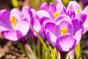 Similar image 2269783