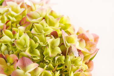 Similar image 2269784