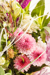 Similar image 2269843