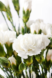 Similar image 2269871