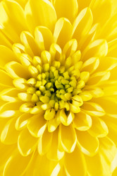 Similar image 2269896