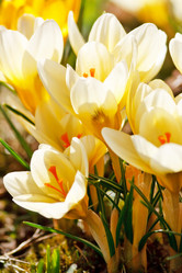 Similar image 2269907