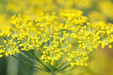 Similar image 2269963