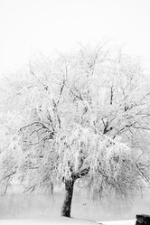 Similar image 2269968