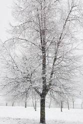 Similar image 2269973