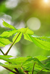 Similar image 2269985