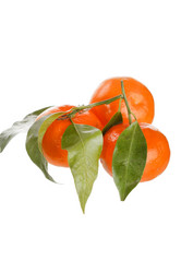 Similar image 2269991