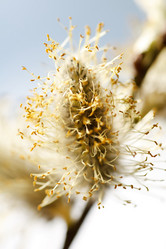 Similar image 2269996