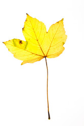 Similar image 2269995