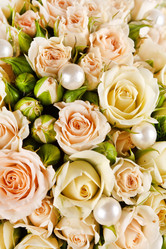 Similar image 2270054