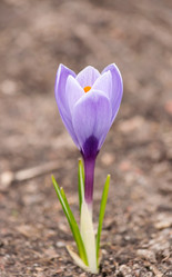 Similar image 2270058