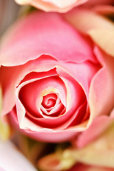 Similar image 2270069