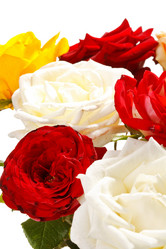 Similar image 2270074