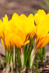 Similar image 2270217