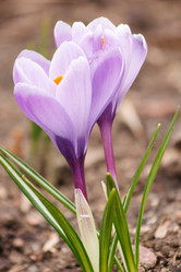 Similar image 2270218