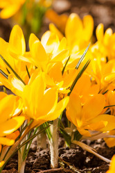 Similar image 2270221