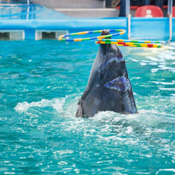 Similar image 2270237